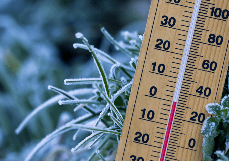 Imagem da notícia Onda de frio causa recordes de baixa temperatura em capitais brasileiras